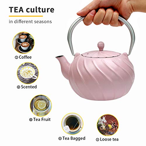 Teapot, TOPTIER Japanese Cast Iron Teapot with Stainless Steel Infuser