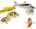Toledo Goldfish Live Butterfly Fin and Regular Koi Combo for Ponds, Aquariums or Tanks – USA Born and Raised – Live Arrival Guarantee (3 to 4 inches, 4 Fish)thumb 1