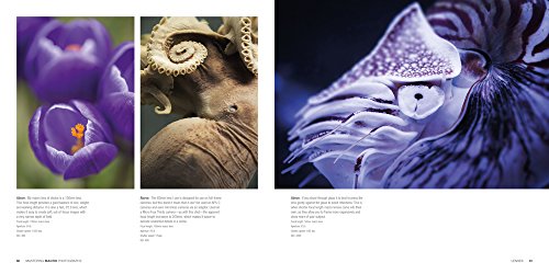 Mastering Macro Photography - Thumbnail 5
