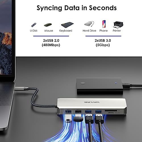 WAVLINK 12 in 1 USB C Docking Station, Dual HDMI Dockingstation USB C, Multiport Adapter mit 4K Dual HDMI, DP, 100W PD IN, USB3.0, USB2.0, RJ45, SD/TF Slots, Audio/Mic