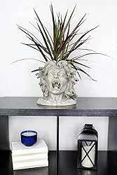 Darware Resin Medusa Head Planter, Large Garden