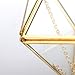 NCYP Modern Clear Glass Jewelry Box with Swing Lid, Pentagon Shape Closed Geometric Terrarium Planter Pot for Succulent Plant, Fern, Wedding Decor, Gold Container (No Plants)