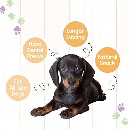 NATURE GNAWS AMERICAN CHEESE CHEWS FOR DOGS – LONG LASTING HARD CHEW TREATS – RAWHIDE FREE DOG BONES – YAK ALTERNATIVE – MADE IN THE USA