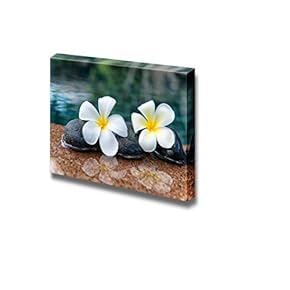 Zen Rocks on an Open Waterfall with Blooming...