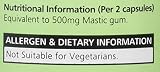 Mastika 250mg Mastic Gum 120 Capsules Brand Mastika Pack of 120 view 5
