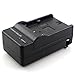 Charger for JVC AA-VF8 BN-VF808 BN-VF808U BNVF808 and JVC Everio GZ-MG130 148 150 155 175 255 275 575 GZ-HD7 D745 D746 D750 D760 D770 D771 D775 D790 D796 JVC MiniDV