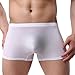 WINDAY Men Briefs Breathable Ice Silk Boxer Bikinis and Briefs N05