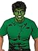 Rubie's mens Marvel Universe Adult Hulk Wig Party Supplies, Multicolor, One Size US