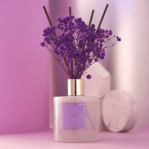 Cocorrína Premium Reed Diffuser Set with Preserved Baby's Breath
