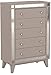 Coaster Furniture Leighton Chest Metallic Mercury 204925