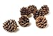 Pine Cones For Crafts In Bulk - Large Fifty Count Bag!