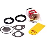 Briggs & Stratton 394698 Carburetor Overhaul Kit Replaces 299852