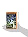 Point Blank (Sisterhood Series, 26)