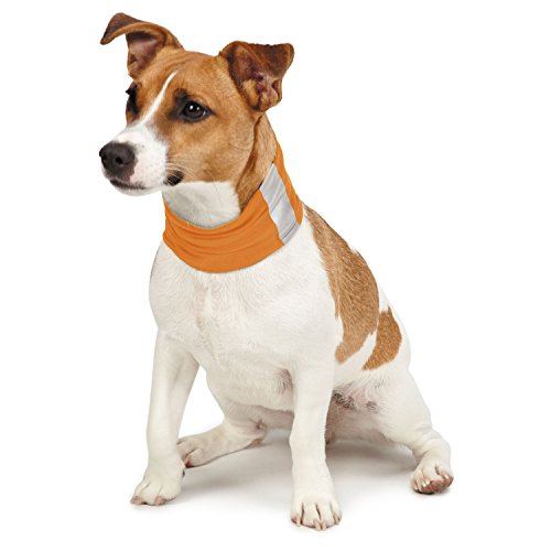 Insect Shield Insect Repellant Dog Neck Gaiter for Protecting Dogs from