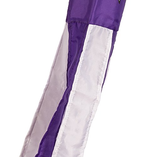 College Flags and Banners Co. Texas Christian Horned Frogs Windsock