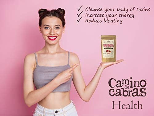 DETOX TEE zum Abnehmen Schnell & Fettverbrenner - Kräutertee - Grüner Tee Lose, Löwenzahn, Kurkuma, Ingwer, Goji beeren… – Bild 3