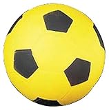 Champion Sports High Density Foam Soccer Balls