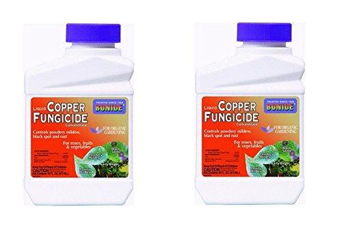 Bonide chemical 811 copper fungicide concentrate, 160z (473ml)