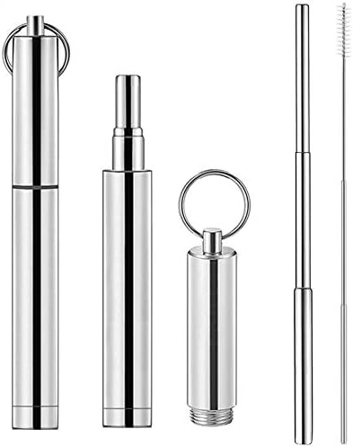 Collapsible Metal Straws, Reusable Stainless Steel Straws, Portable Telescopic Drinking Straws with Case and Cleaning Brush (Silver)