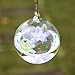 SOLEDI Terrarium Plants Hanging Glass Globe Plant Hanger Air Plant Holder Container Terrariums From Glass For Flowers Plants Home Garden Wall Decor