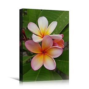 signwin Canvas Wall Art Pink Fields Bohemian Colorful...