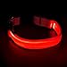 Flashseen LED Dog Collar, USB Rechargeable Glowing Pet Collar Night Safety LED Light Up Dog Cool Collars for Dogs with Nylon Webbing Perfect for Small, Medium, Large Dogs(Medium, Red)