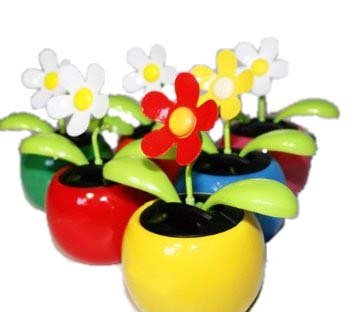 HAAC Solar Wackelblume Blume