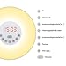 Wake Up Light, Alarm Clock, CoCoMoon Sunrise Simulation with Night Light, Atmosphere Lamp, FM Radio, Bedside Lamp，Nature Sounds Wake Up Light Colored Sunrise with Smart Snooze Function