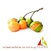 Fresh Spanish Limes (genip,quenepa,mamoncillo,limoncillo) 2 Lbs - UPS 2nd day air