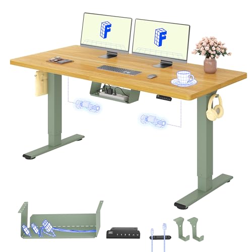 FLEXISPOT Höhenverstellbarer Schreibtisch elektrisch, Doppelmotor 160x80 cm