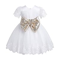 TiaoBug Baby Girls Sequined Bowknot Flower Girl Dress Embroidered Wedding Birthday Party Christening Baptism Easter Tutu Gown White 3-6 Months