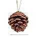 Unomor 36pcs Christmas Pine Cone Ornaments with String Natural Wood Rustic Christmas Tree Decoration Crafts Christmas Home Hanging Ornament 4-6cm