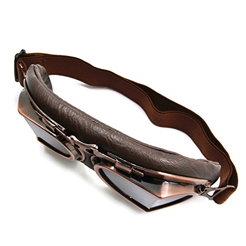 image for Molie Motorcycle Riding Goggles Mask, Anti-fog Snow-proof Anti-UV Wint