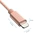 Luxtr Tough Armor Aluminum and Nylon design iPhone Charger for all Devices 6.5 feet - Rose Gold