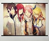 Home Decor Anime Fairy Tail Cosplay Wall Scroll Poster Fabric Painting Key Roles 23.6 X 17.7 Inches-214