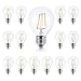 Brightech - Ambience PRO LED G40/G45 1 Watt Soft White 3000K Bulb - Use to Replace High-Heat, High-Cost incandescent bulbs in Outdoor String Lights - Edison-inspired Exposed Filaments Design- 15 Pack