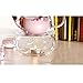 DecentGadget High Heat Resistant Borosilicate Glass Teapot Warmer (teapot warmer)