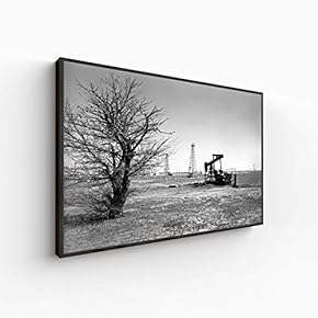 Canvas Wall Art for Living Room, Bedroom Monochrome Plants Framed Canvas Prints for Home Decoration Ready to Hang - 16x24 inches