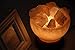 5inch 5-6Lbs Himalayan Salt Lamp Fire Bowl with Natural Crystal Salt Rock Chunks on Wood Base with Electric Wire & Bulb by Oumai