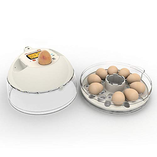 R-COM Inkubator R-COM10 PRO PLUS für 10 Eier – Bild 3