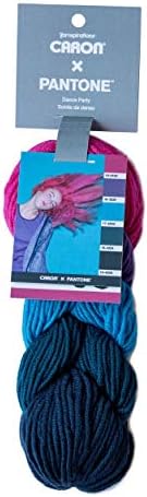 Caron x Pantone Acrylic & Merino Wool Blend Yarn •• 5 Coordinated Colors in 1 Braid (Dance Party 291101-01029)