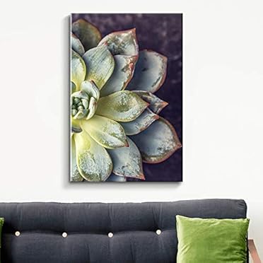 Signford Canvas Print Wall Art Set Desert Green Succulent Closeup Floral Plants Photography Modern Art Southwest Colorfu