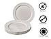 Silver Spoons Party Disposable 10 pc Dinnerware Set | 10 Dessert Plates | Heavyweight Plastic Dishes | Elegant Fine China Look | for Upscale Wedding and Dining (Vintage Collection – Cream | 7.5 Inch)