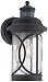 Capistrano Outdoor Wall Light Fixture LED Black Hanging 12.75" Motion Security Sensor Dusk to Dawn for House Deck Patio Porch - John Timberland primary