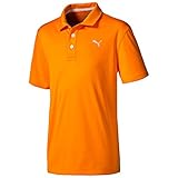 PUMA Golf Kids Mens Essential Pounce Polo JR (Big Kids)