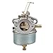 Hipa 632230 Carburetor carb for Tecumseh 632272 H30 H50 H60 HH60 Engines with Fuel 3-Feet Fuel Line