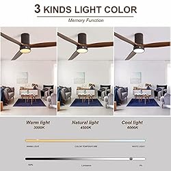 Sofucor Low Profile Ceiling Fan with Lights Flush