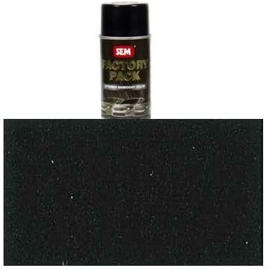 (4-in-1) SEM 19303 Titanium Factory Pack Aerosol - 16 oz. + Treated Cleaning Sponge + Quick-Dry Microfiber Towel + SEM Color Charts
