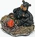 WD Willie Black Bear with Cub Sitting By Campfire Collectable Figure 4