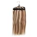 Hair Extensions Storage Bag with Wooden Hanger Carrier Case Protection for Daily Use & Travel (Black Color)